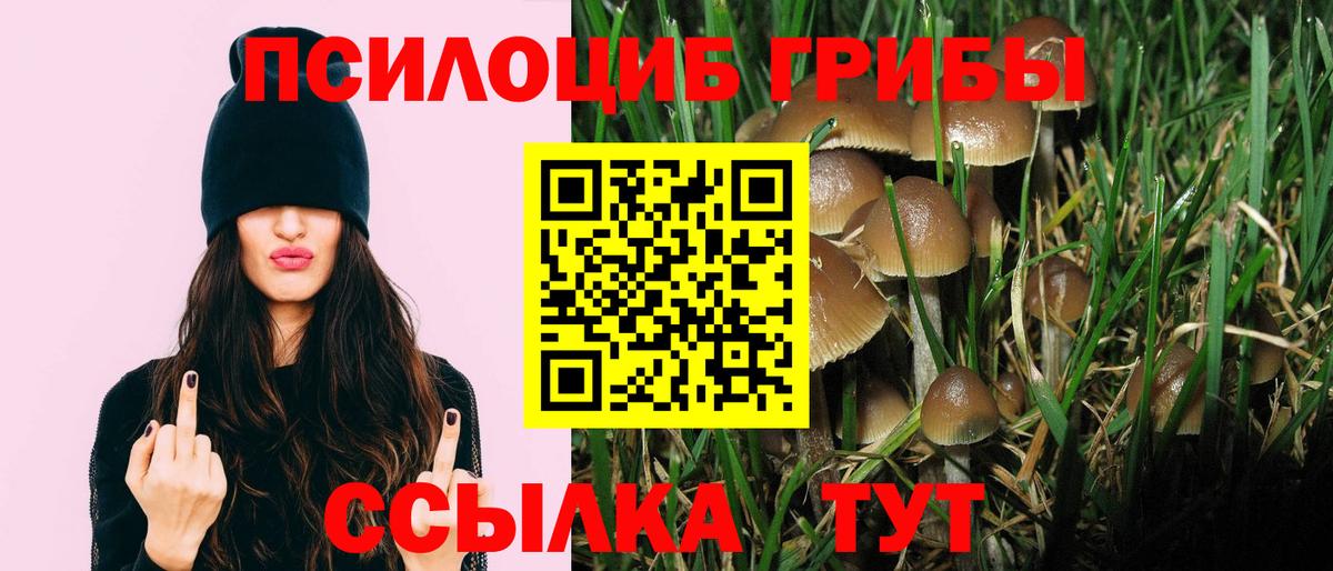 Псилоцибиновые грибы мицелий Ногинск