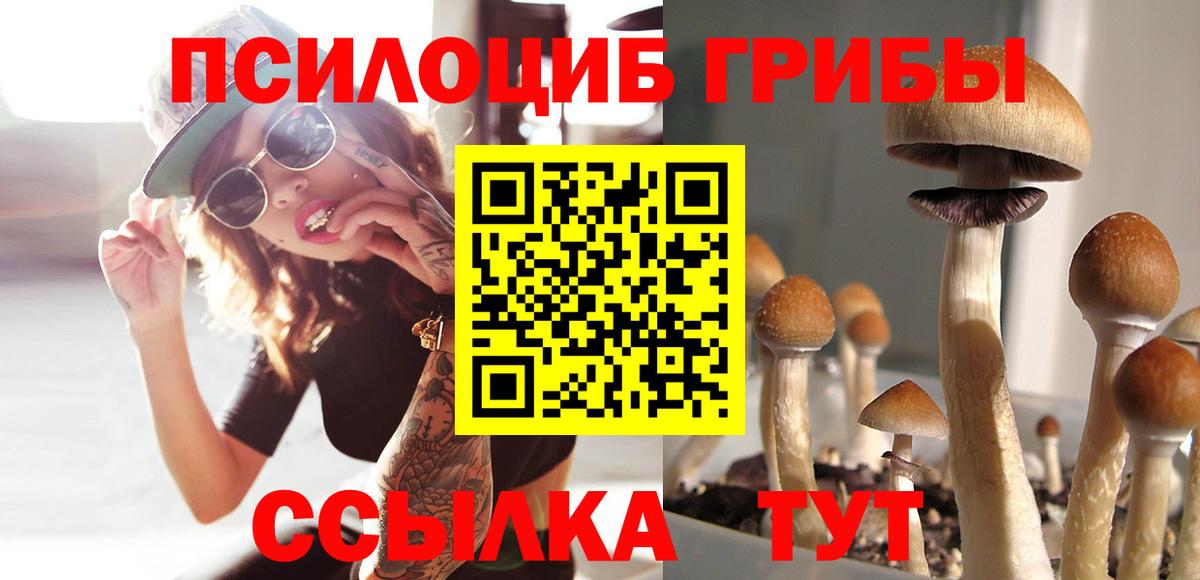 Псилоцибиновые грибы прущие грибы  Псилоцибиновые грибы GOLDEN TEACHER  Ногинск  Вход с VPN 